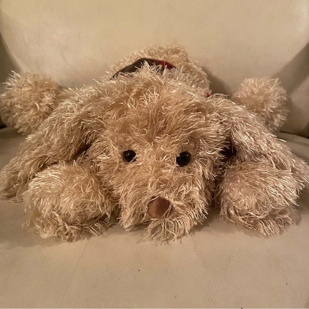 Musical Super Soft Adorable Plush Puppy  🎶 Press Tummy “Yes, Jesus Loves Me…Song